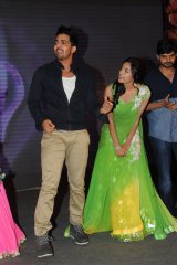 Prema Ishq Kaadhal Audio Function
